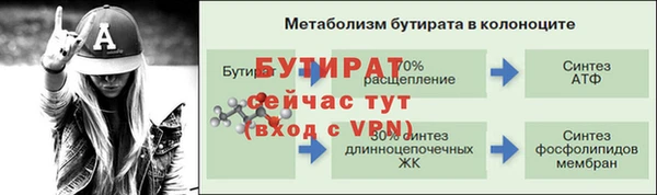 гидра Балахна