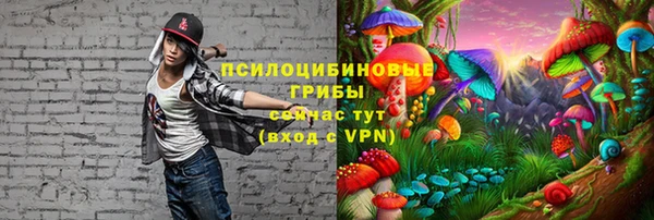тгк Баксан