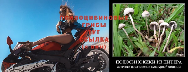 бутират Балабаново