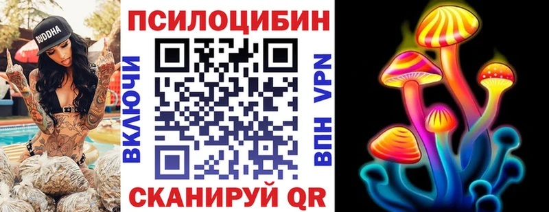 продажа наркотиков  Александровское  Псилоцибиновые грибы Psilocybe 